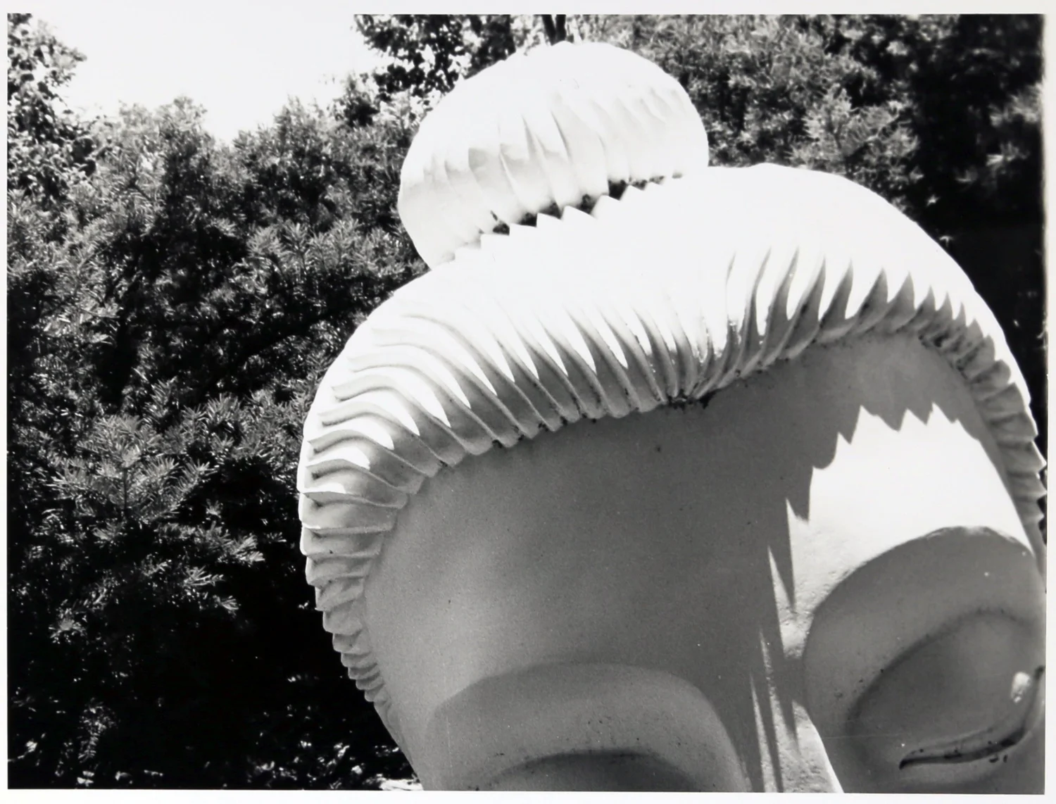 Photography Collection