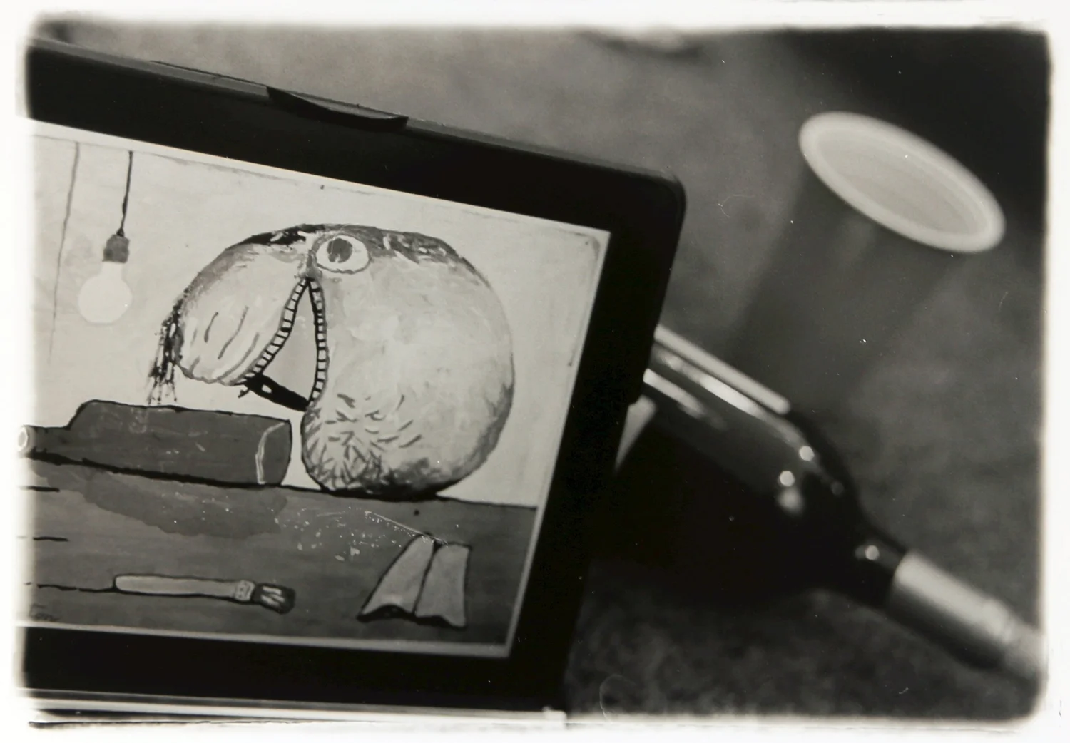 Photography Collection - image 3