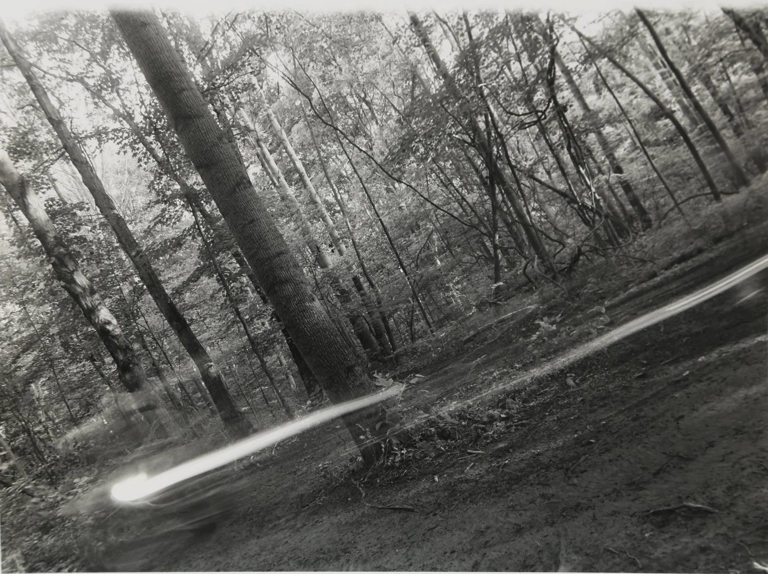 Photography Collection - image 4