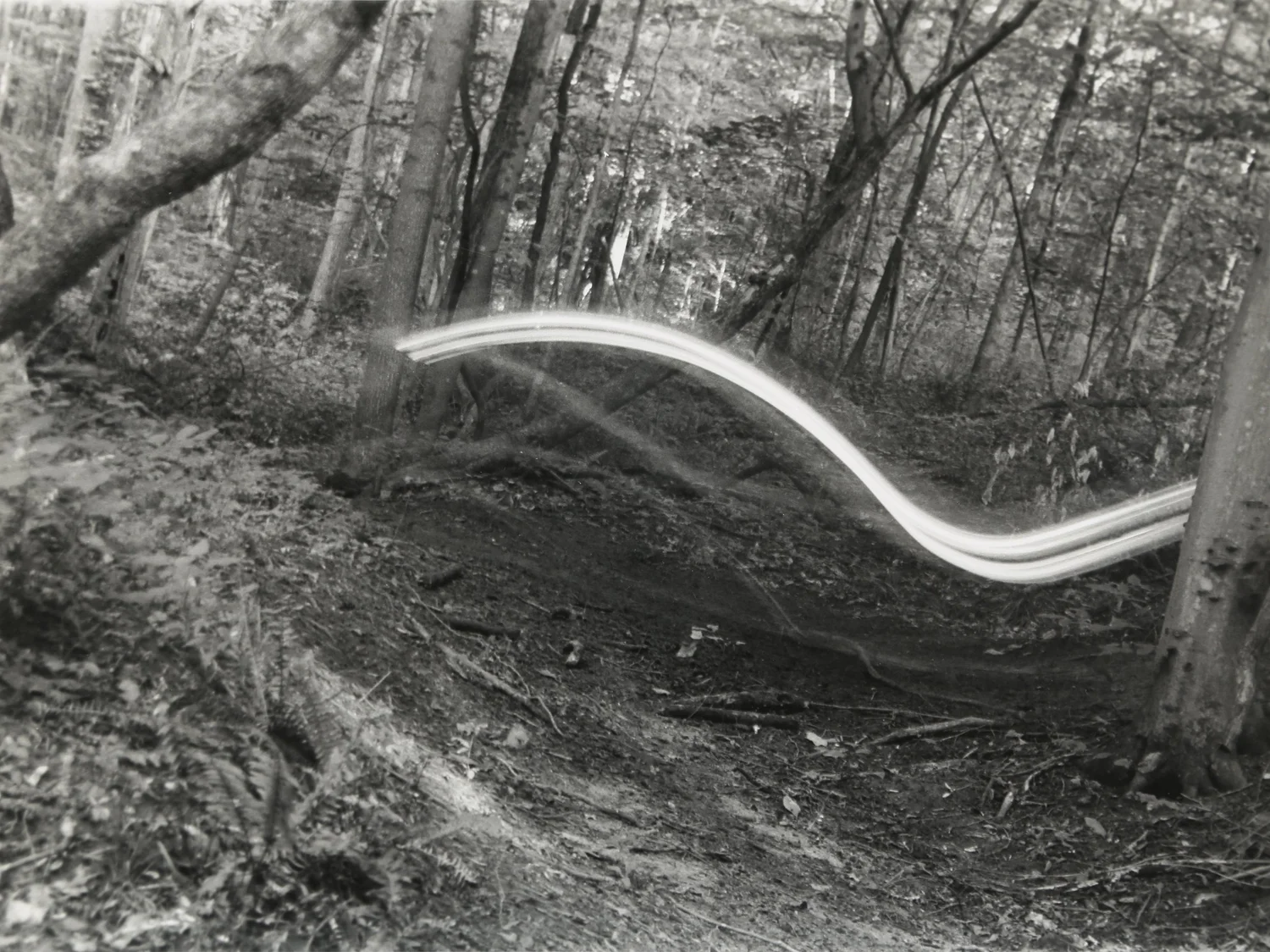 Photography Collection - image 5