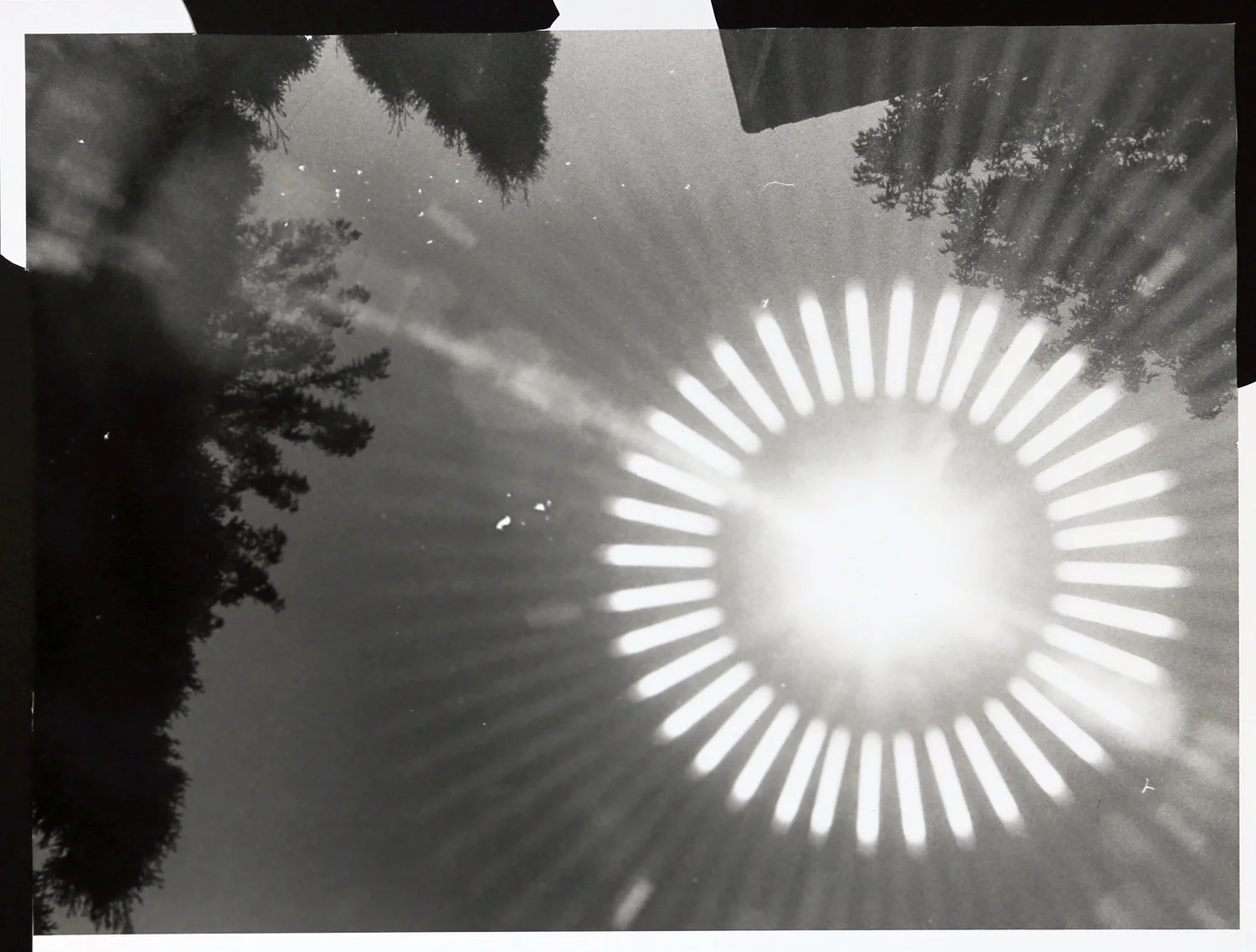 Photography Collection - image 6