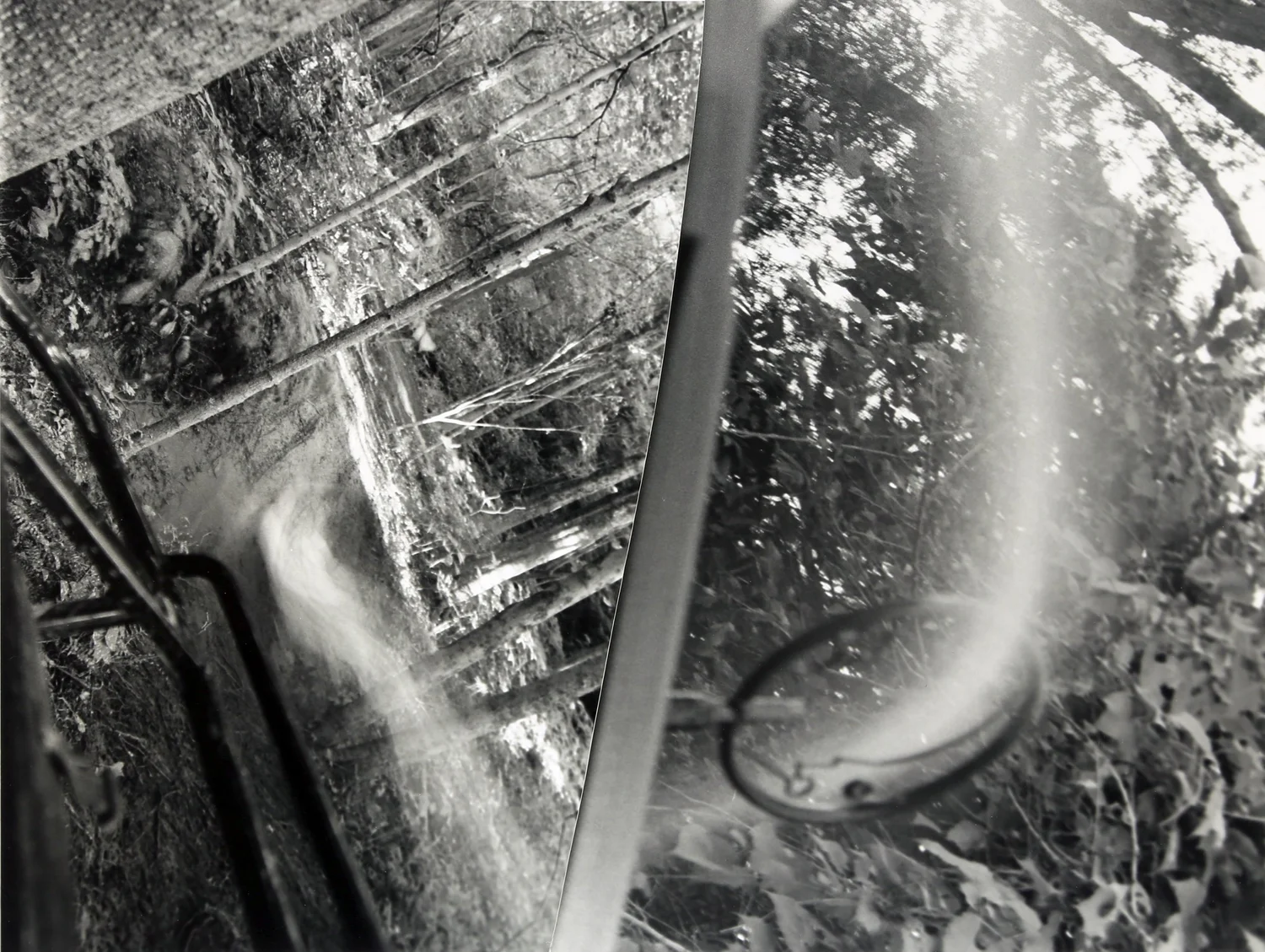 Photography Collection - image 11