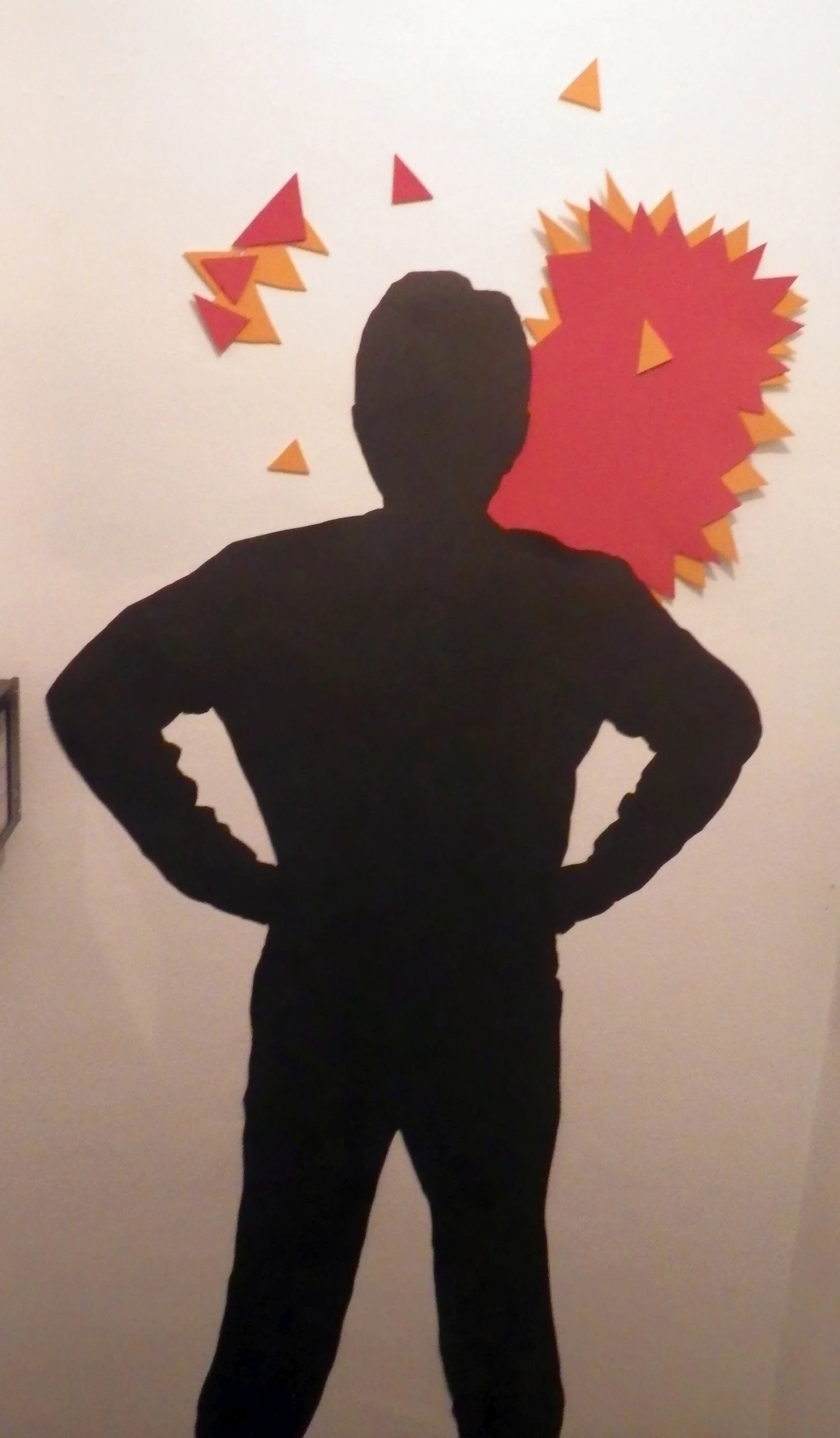 Interior/Outdoor Installation - image 3